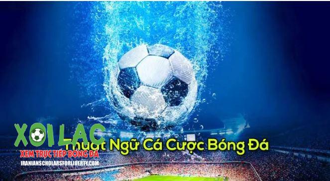 Giải thích các kèo cược trong bóng đá chi tiết